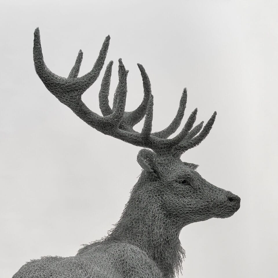 a detail of a life-size wire sculpture of a male deer