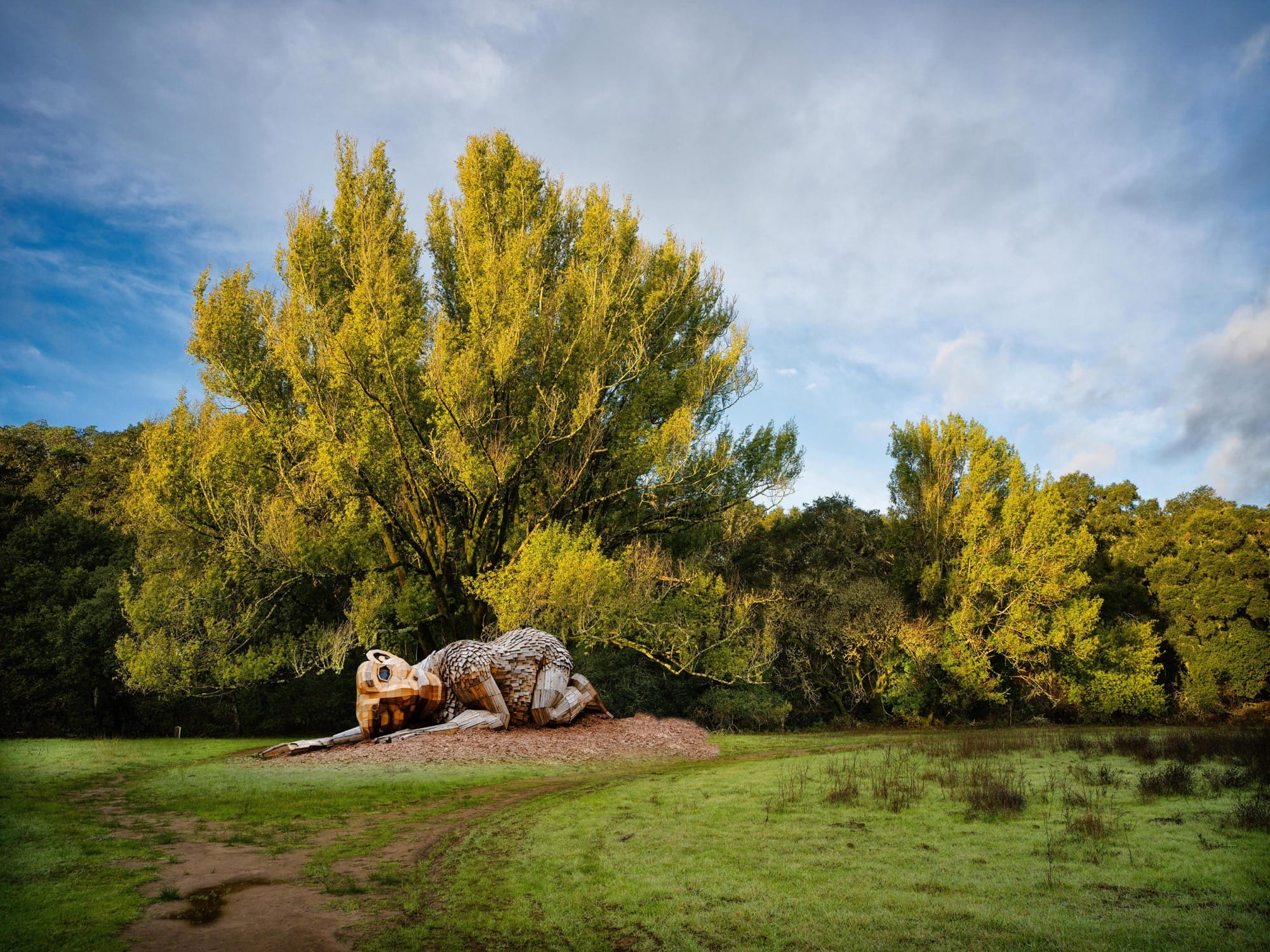 a giant wood troll with its ear to the ground