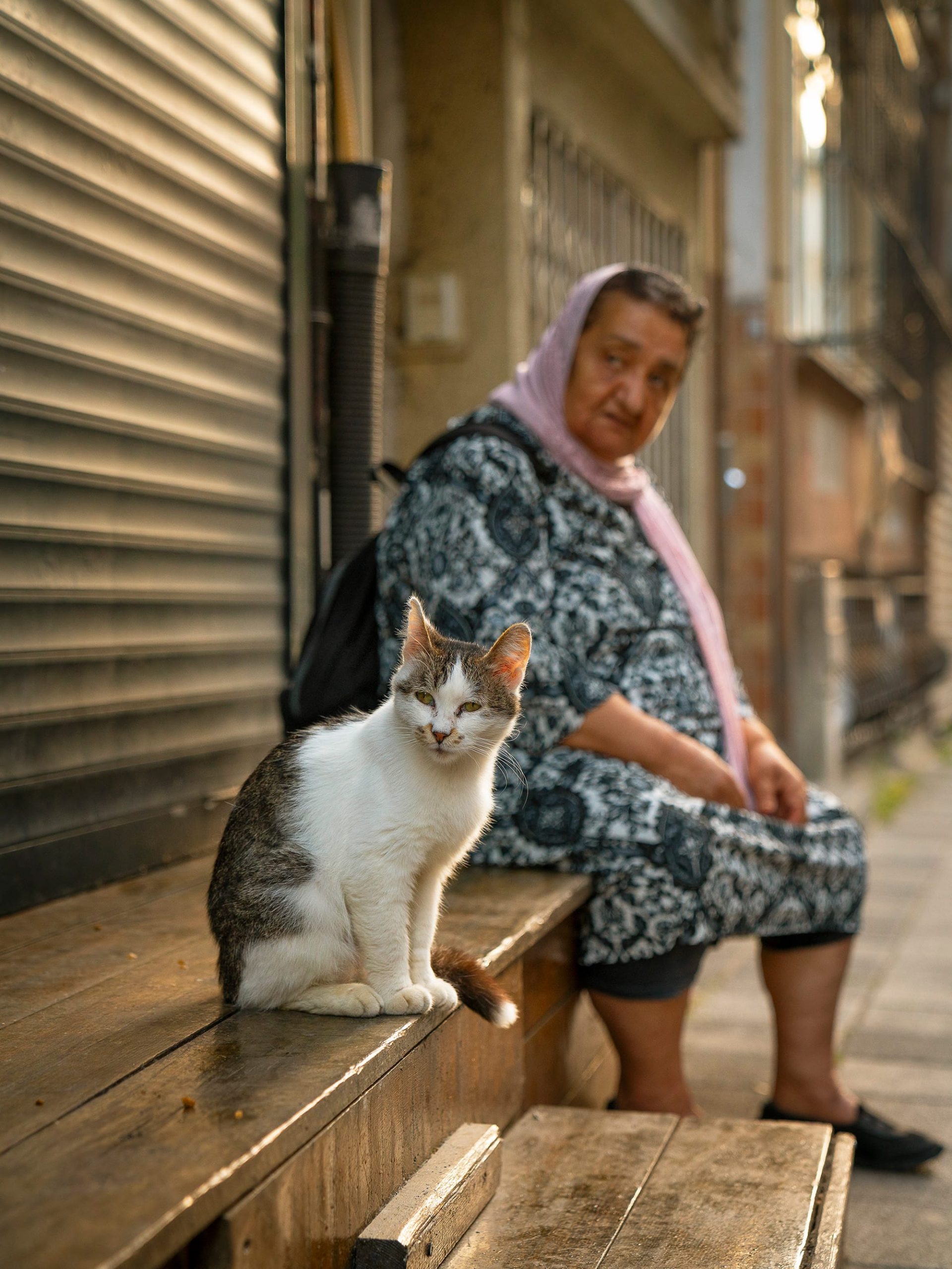 a cat sits beside a woman on a bench outside of a shop