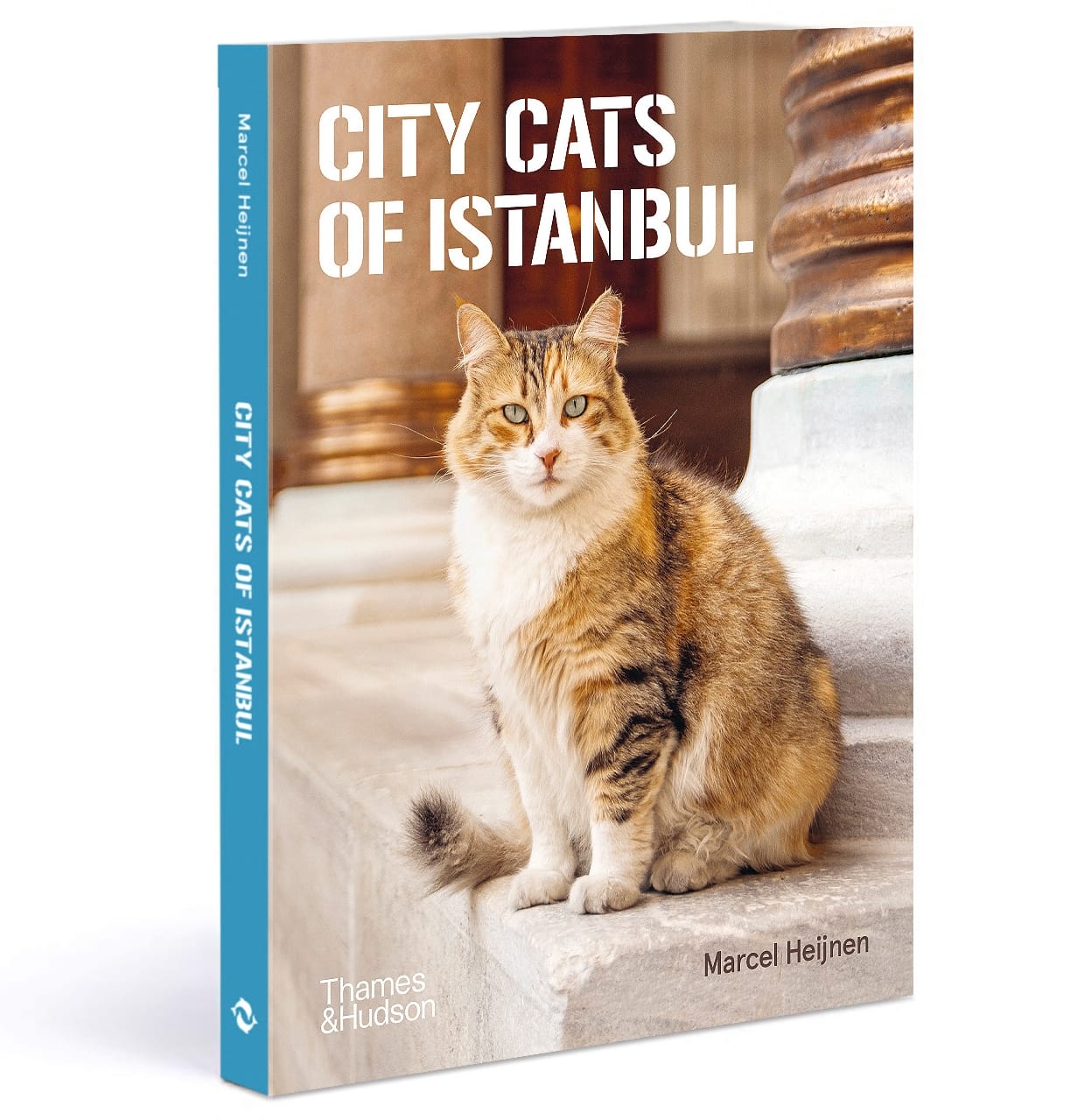 the cover of the book 'City Cats of Istanbul' by Marcel Heijnen