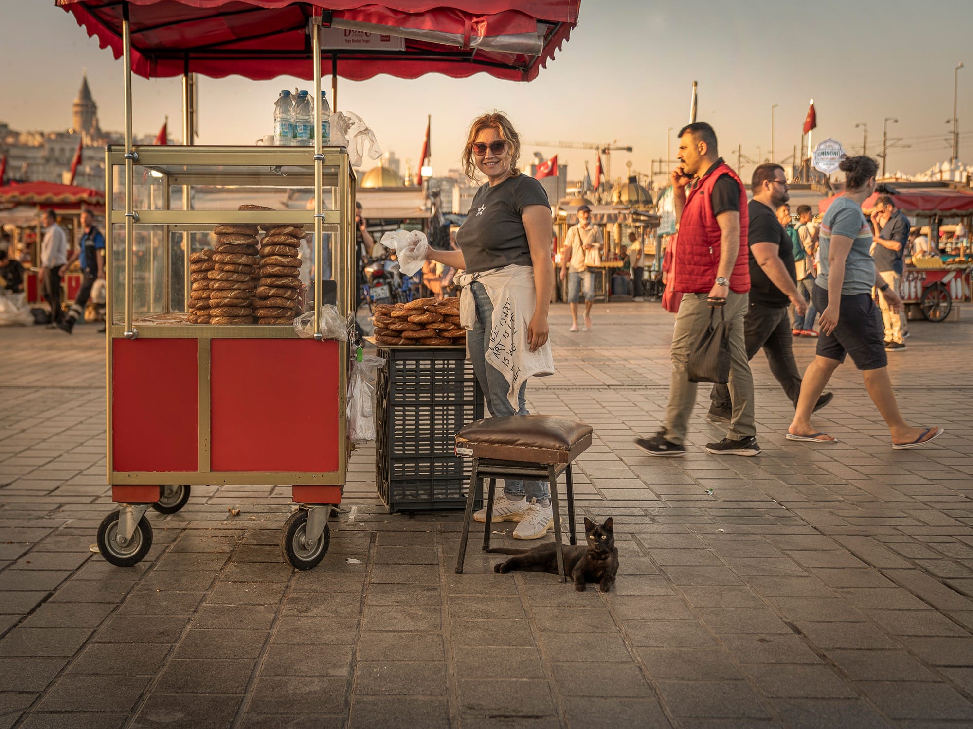 a cat sits on the ground near a food vendor cart