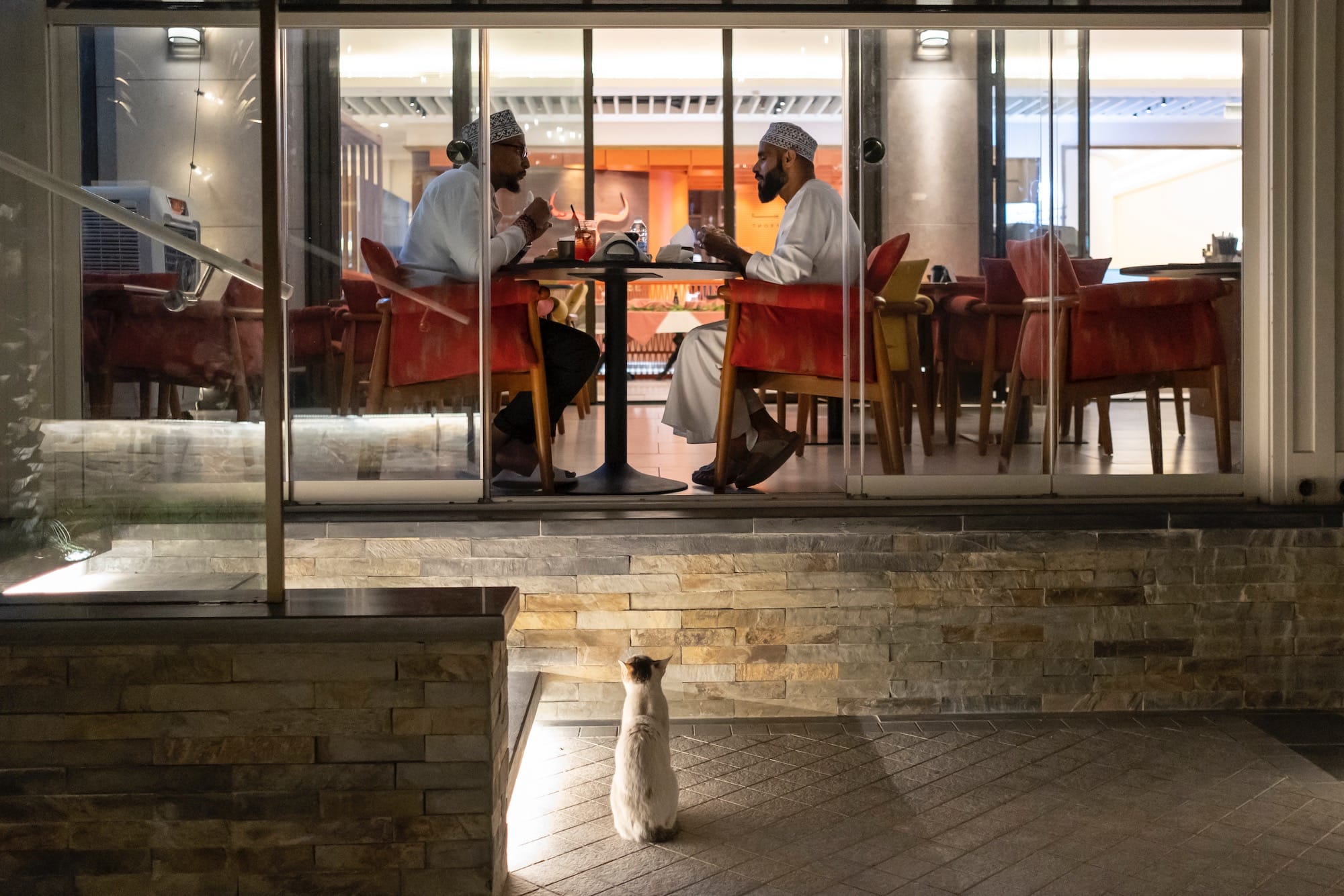 two men eat in a restaurant as a cat looks up at their table from outside