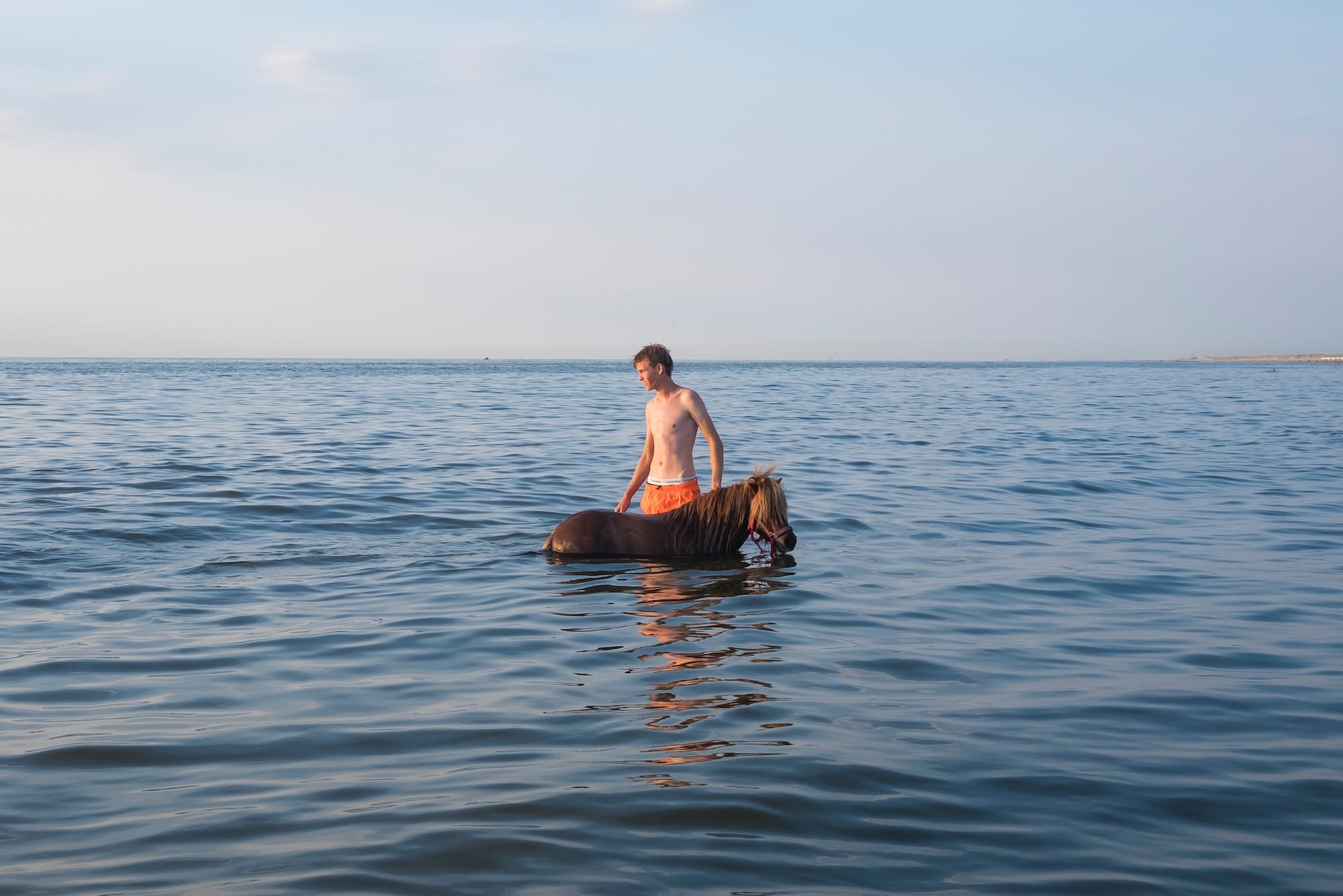 a man stands out in the ocean with a small horse next to him