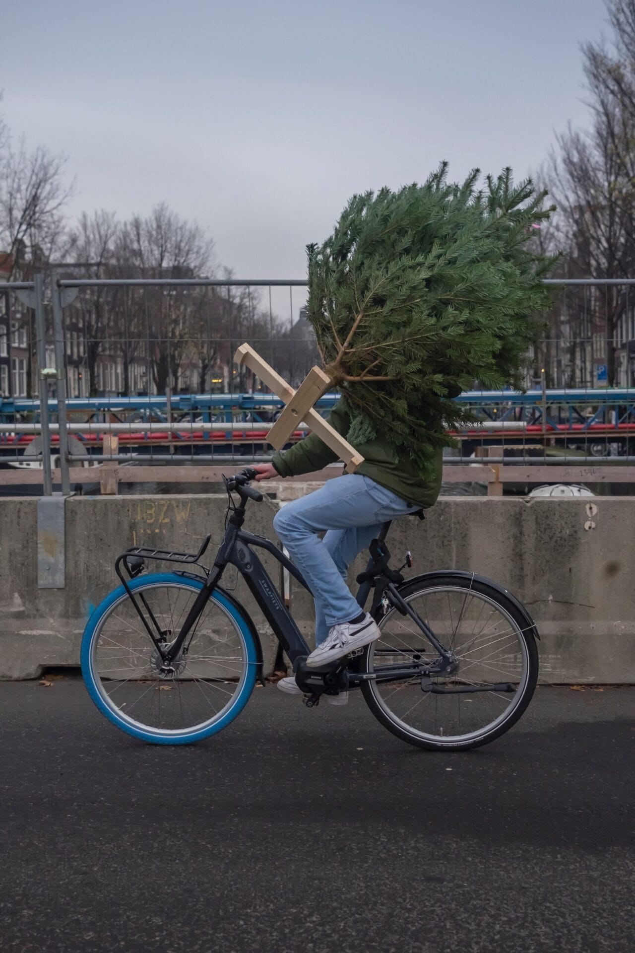 a person on a bike carrying a tree