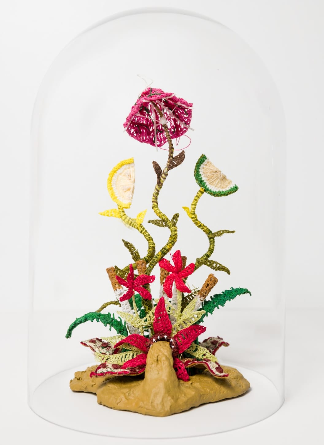 a crocheted sculpture of an unusual, hybrid plant inside of a glass dome